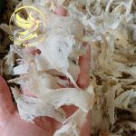 TRANG CHỦ chan yen rut long an duoc nest