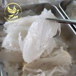 TRANG CHỦ chan yen tinh che an duoc