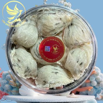 tổ-yến-thô