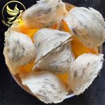 TRANG CHỦ to yen tho loai 1