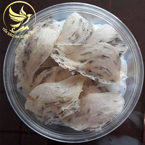 Yến thô nguyên tổ loại 2 ít lông, sơ chế nhanh