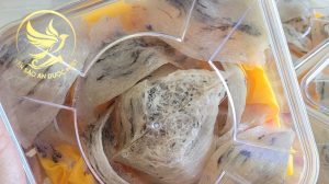 Địa chỉ mua yến nguyên tổ còn lông